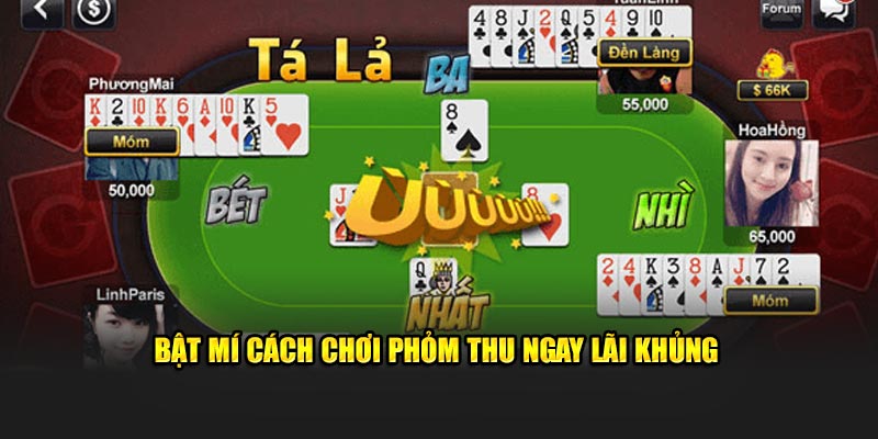 Bật mí cách chơi phỏm thu ngay lãi khủng