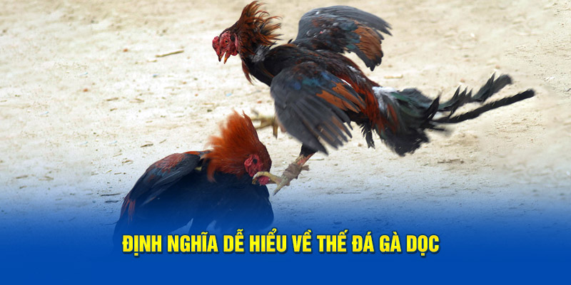 Định nghĩa dễ hiểu về thế đá gà dọc