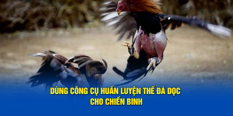 Dùng công cụ huấn luyện thế đá dọc cho chiến binh