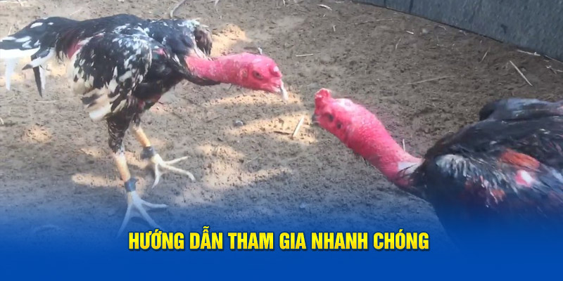 Chỉ cách tham gia nhanh chóng