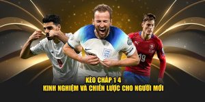 Kèo Chấp 1 4 - Kinh Nghiệm Và Chiến Lược Cho Người Mới