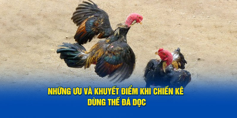 Những ưu và khuyết điểm khi chiến kê dùng thế đá dọc