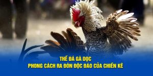 Thế Đá Gà Dọc - Phong Cách Ra Đòn Độc Đáo Của Chiến Kê