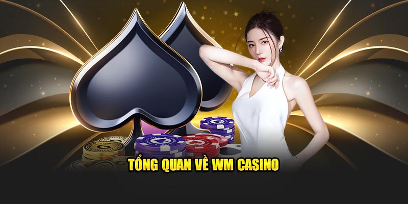 Tổng quan về WM Casino